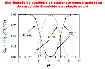 Grfico da distribuio do equilbrio do Carbono